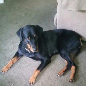 Meet your Posher, Jaime